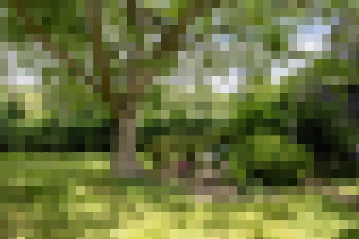 Heukelomseweg 3 Heukelom thumbnail 35