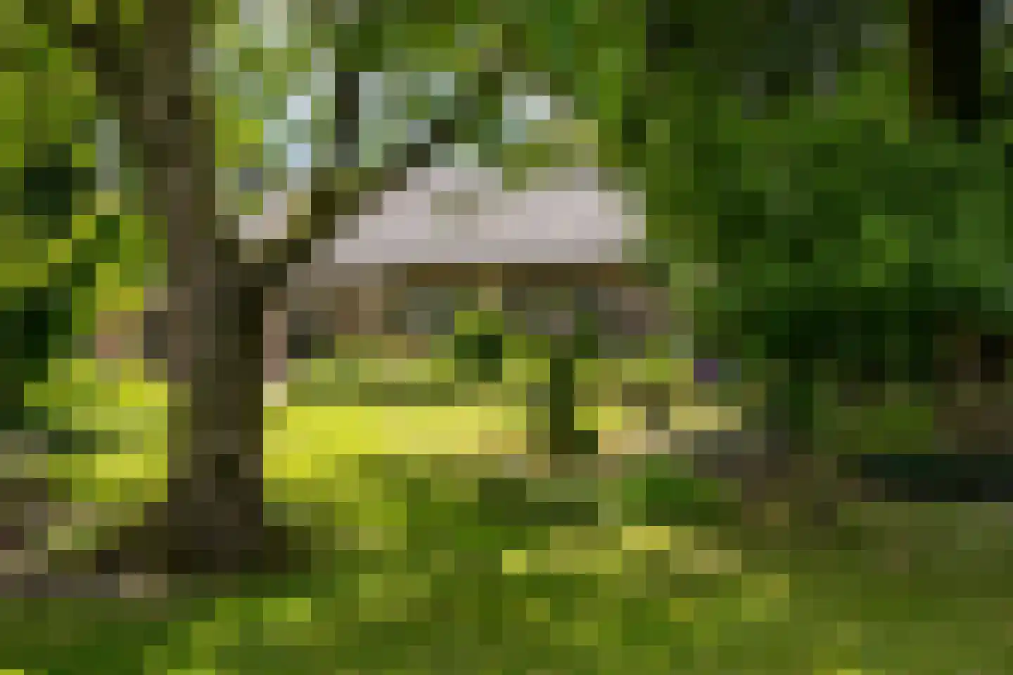 Heukelomseweg 3 Heukelom thumbnail 36