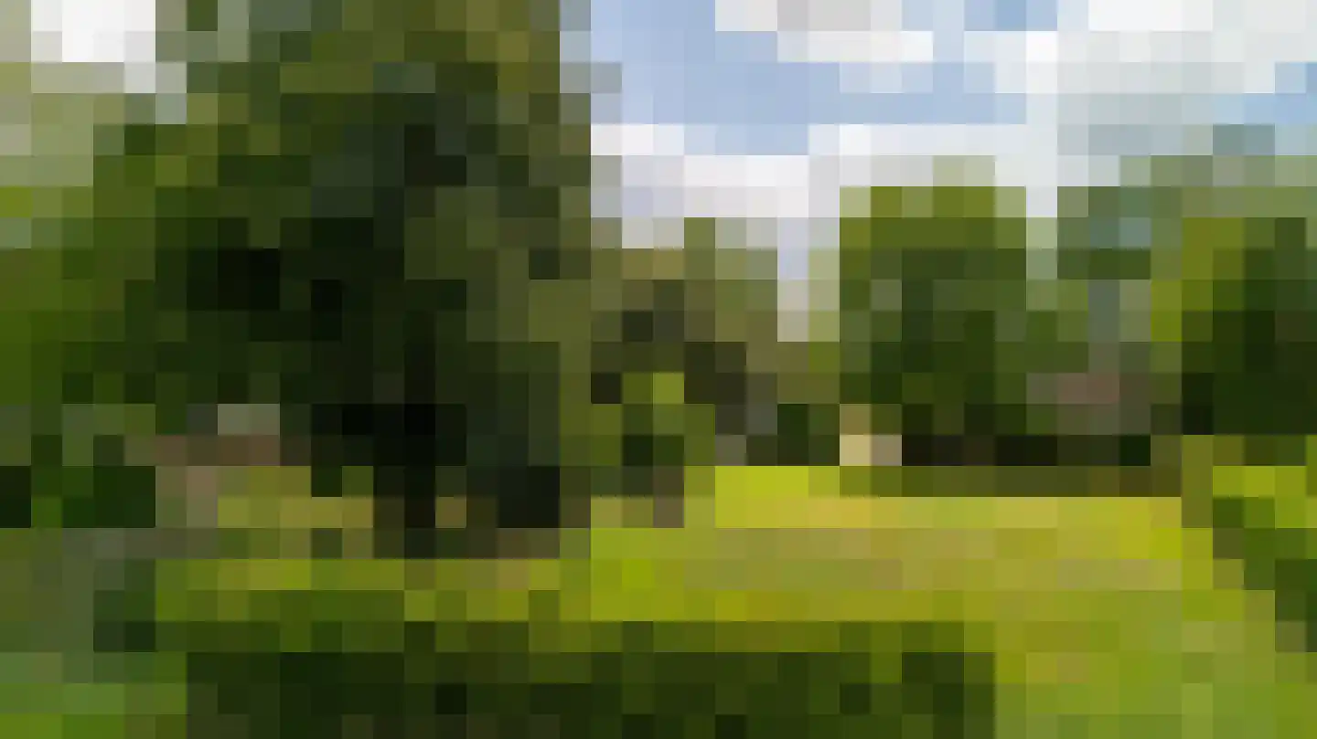 Heukelomseweg 3 Heukelom thumbnail 37