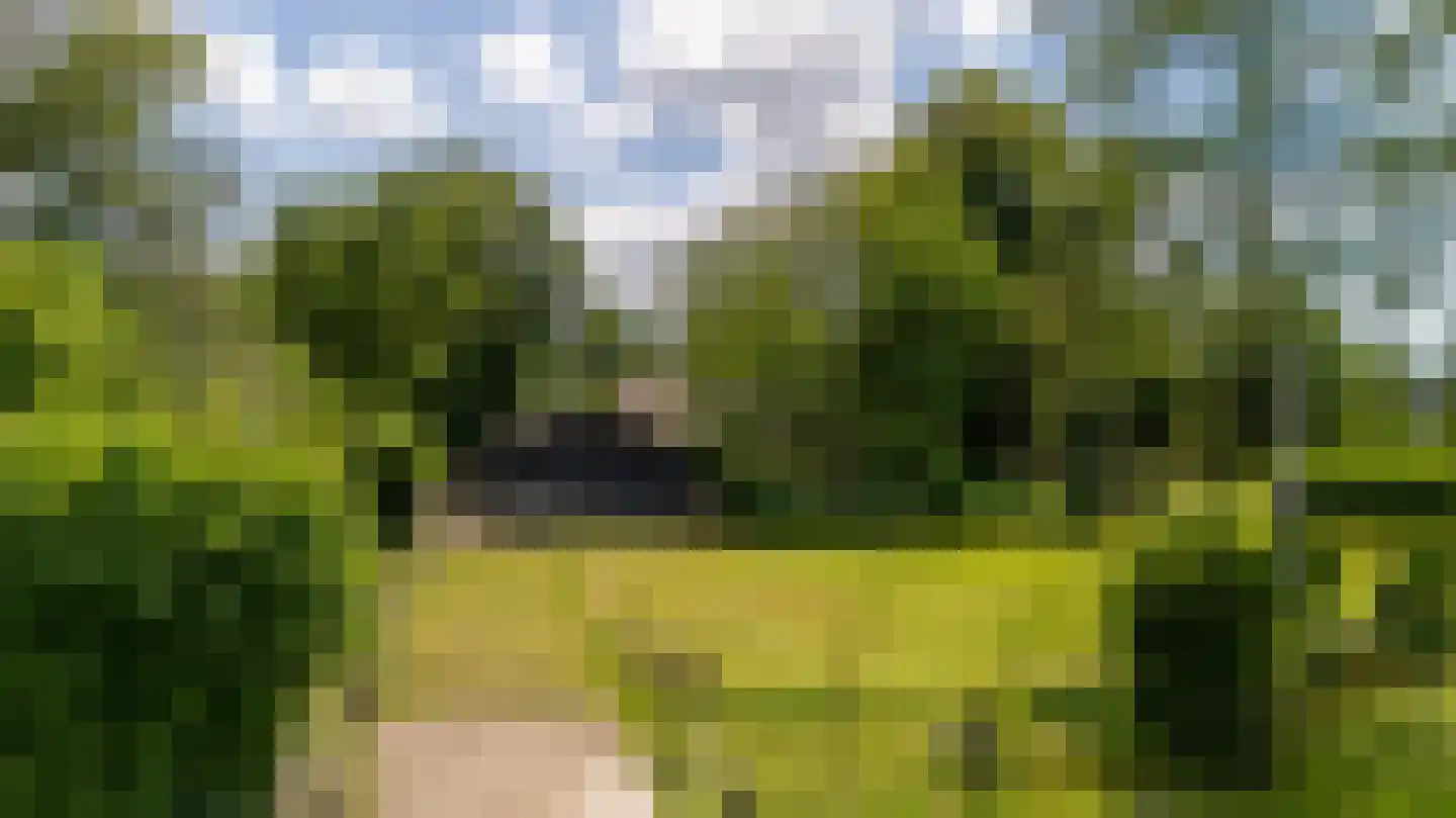 Heukelomseweg 3 Heukelom thumbnail 38