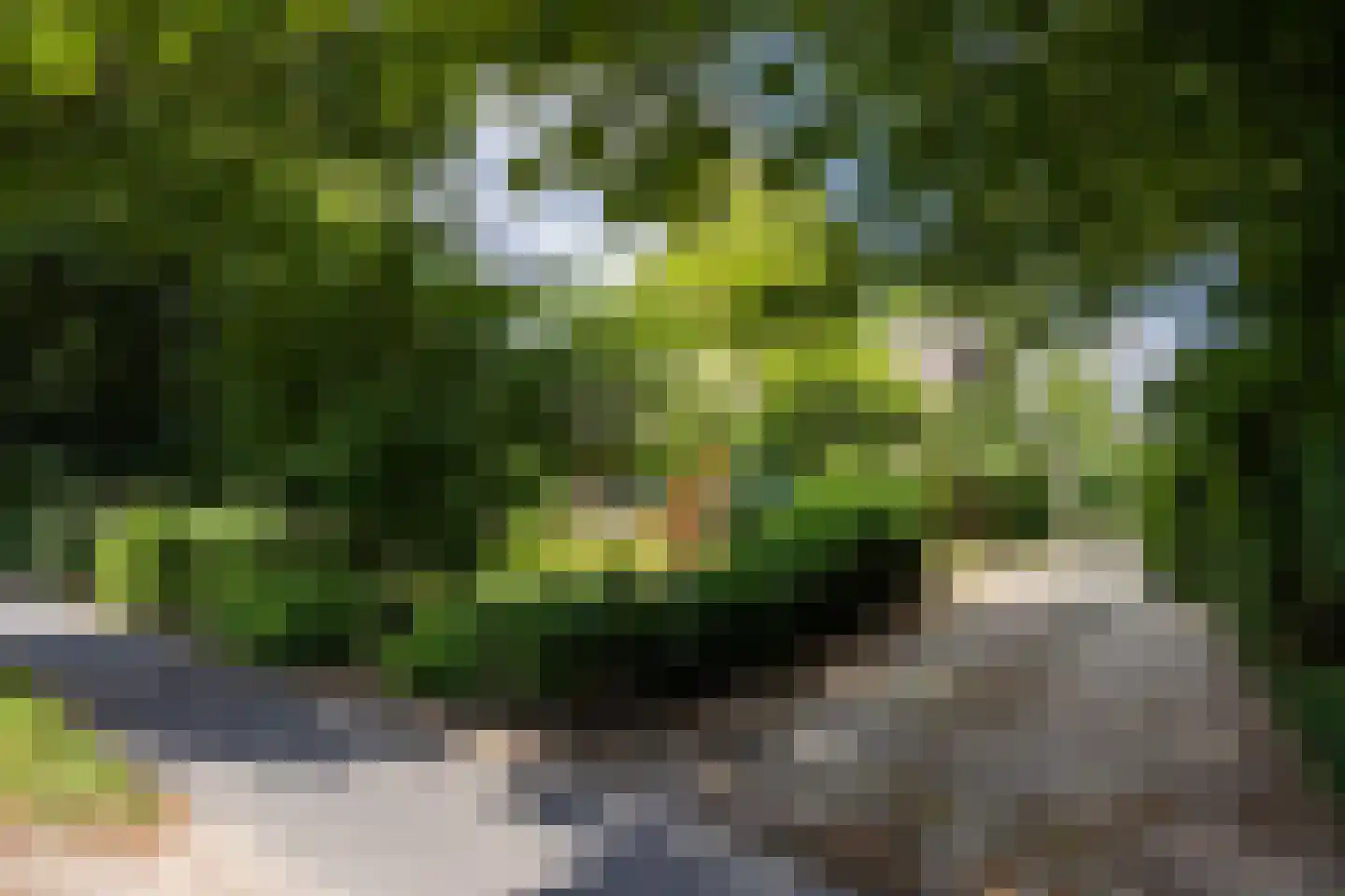 Heukelomseweg 3 Heukelom thumbnail 43