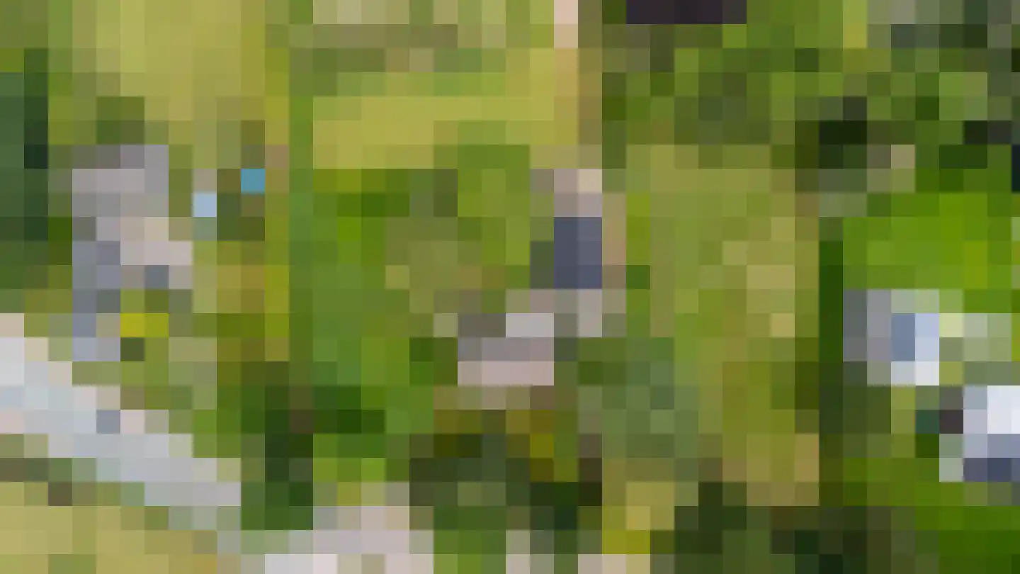 Heukelomseweg 3 Heukelom thumbnail 44
