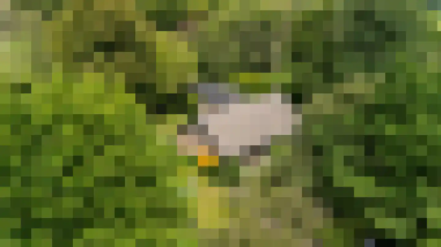 Heukelomseweg 3 Heukelom thumbnail 5