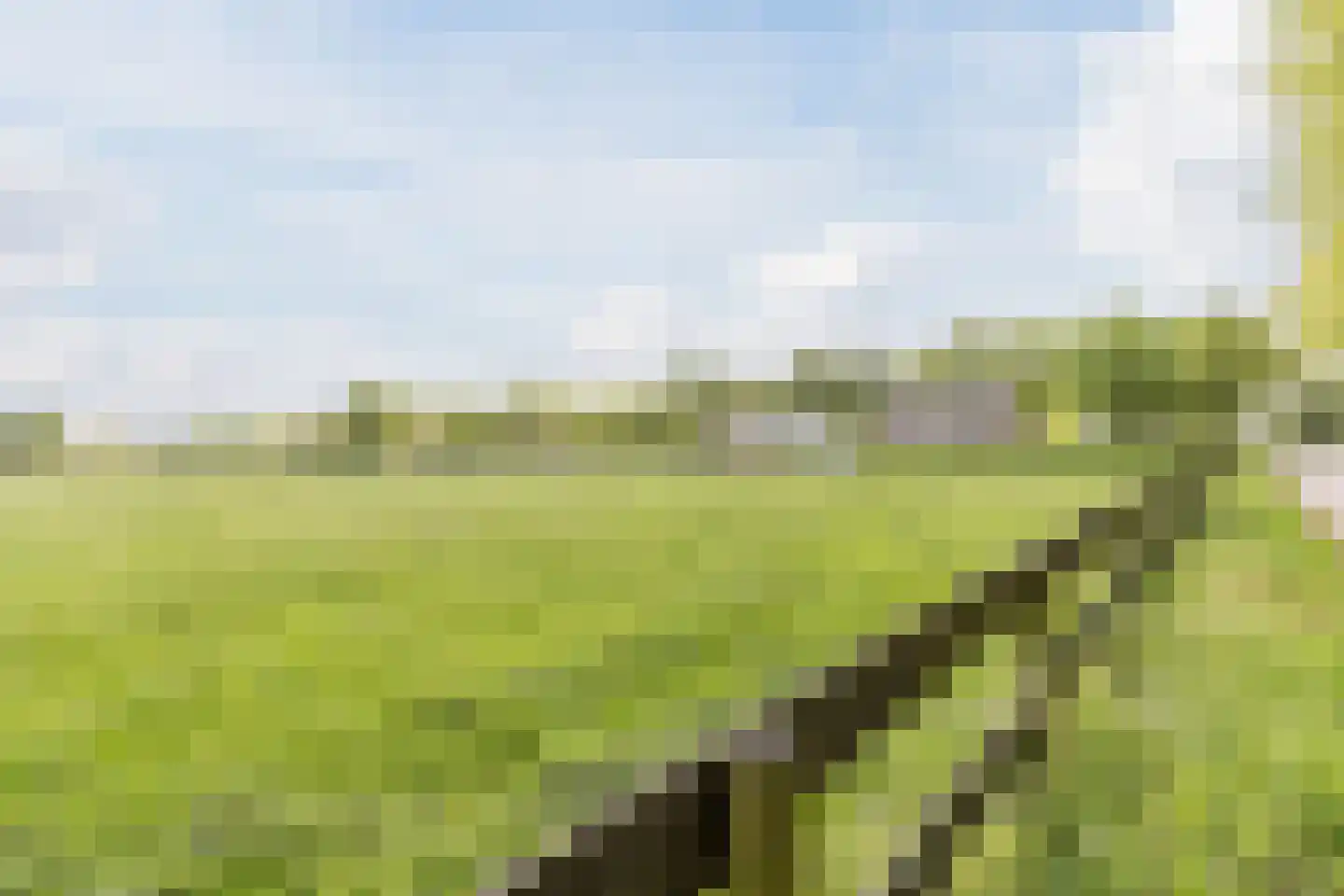 Heukelomseweg 7 Heukelom thumbnail 25