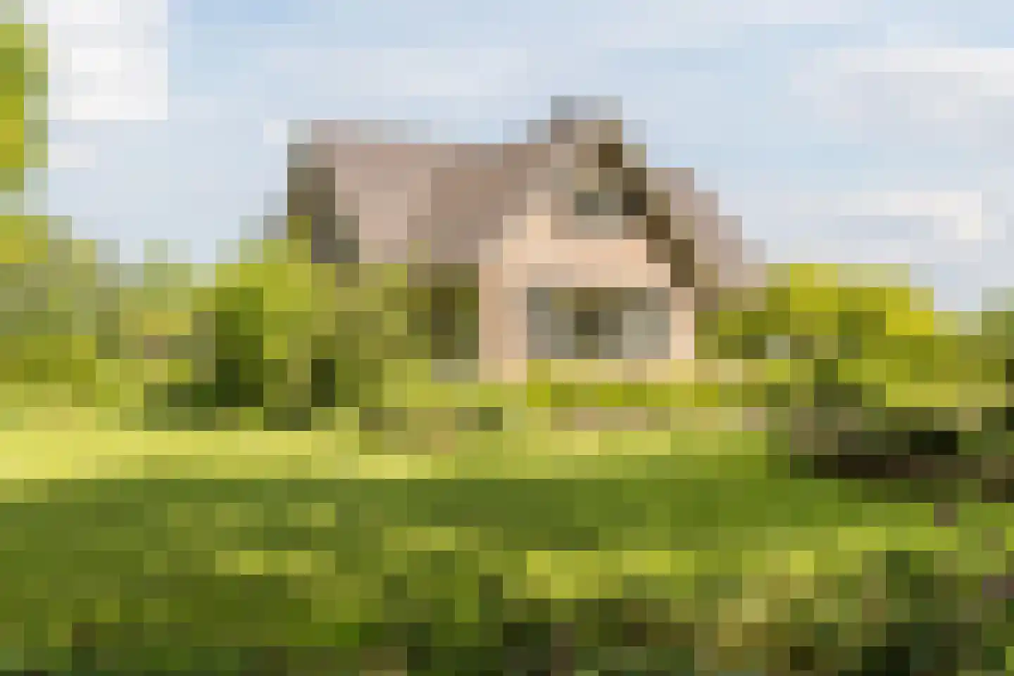 Heukelomseweg 7 Heukelom thumbnail 4