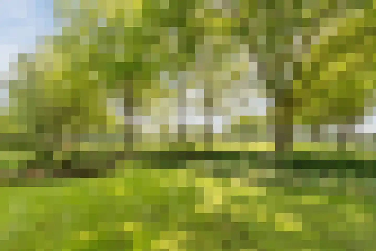 Heukelomseweg 7 Heukelom thumbnail 5