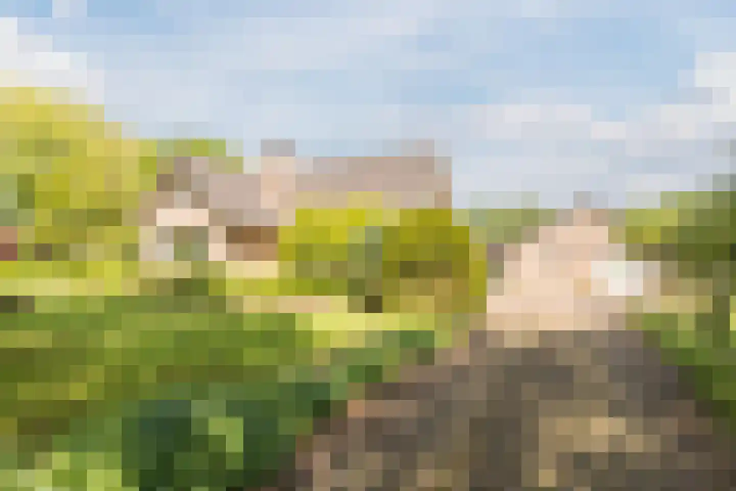 Heukelomseweg 7 Heukelom thumbnail 6