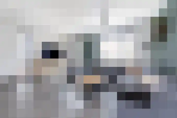 Heukelsstraat 5 Zwolle thumbnail 13