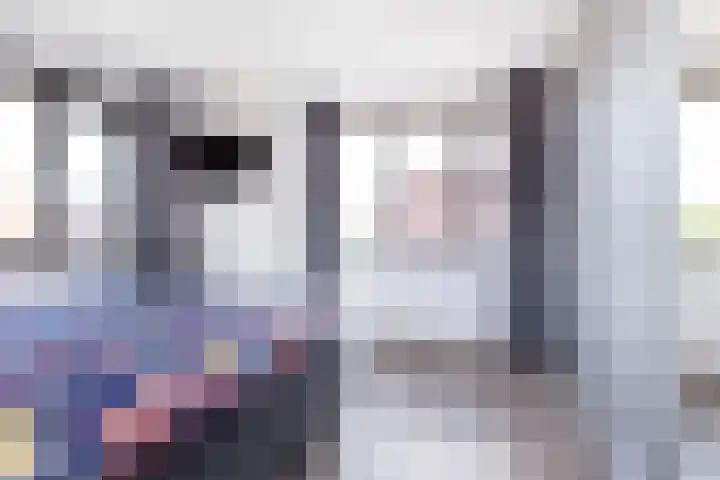 Heukelsstraat 5 Zwolle thumbnail 24