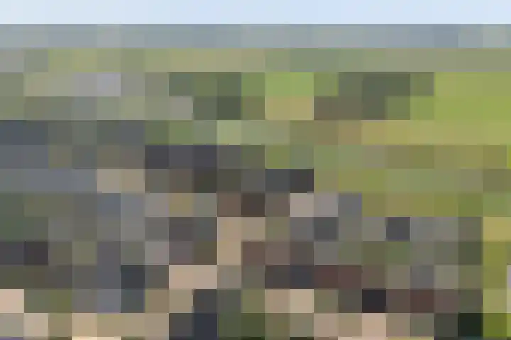 Heukelsstraat 5 Zwolle thumbnail 5
