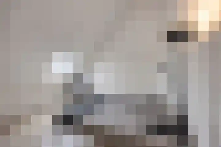 Heukelsstraat 7 Zwolle thumbnail 23