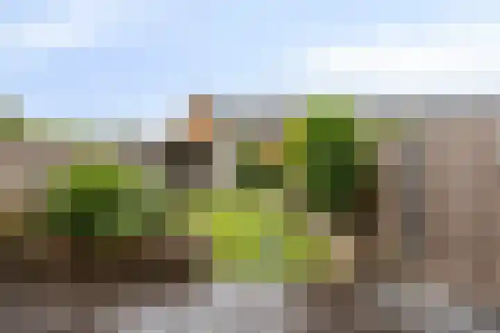 Heukelsstraat 7 Zwolle thumbnail 27