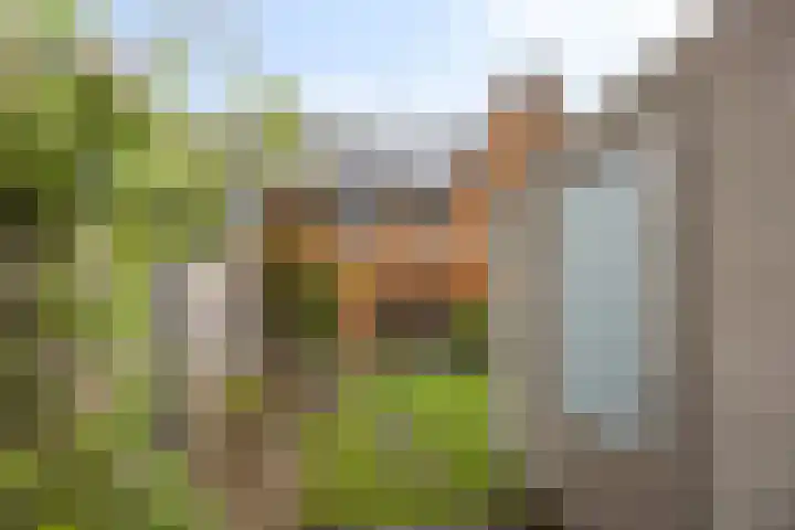 Heukelsstraat 7 Zwolle thumbnail 29