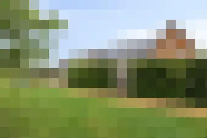 Heukelsstraat 7 Zwolle thumbnail 31