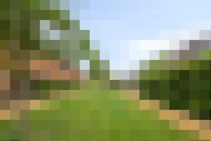 Heukelsstraat 7 Zwolle thumbnail 32