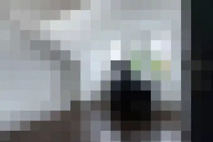 Heukelstraat 4 Maastricht thumbnail 32
