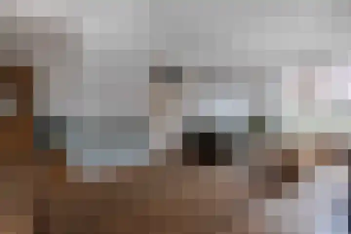 Heukelstraat 4 Maastricht thumbnail 7