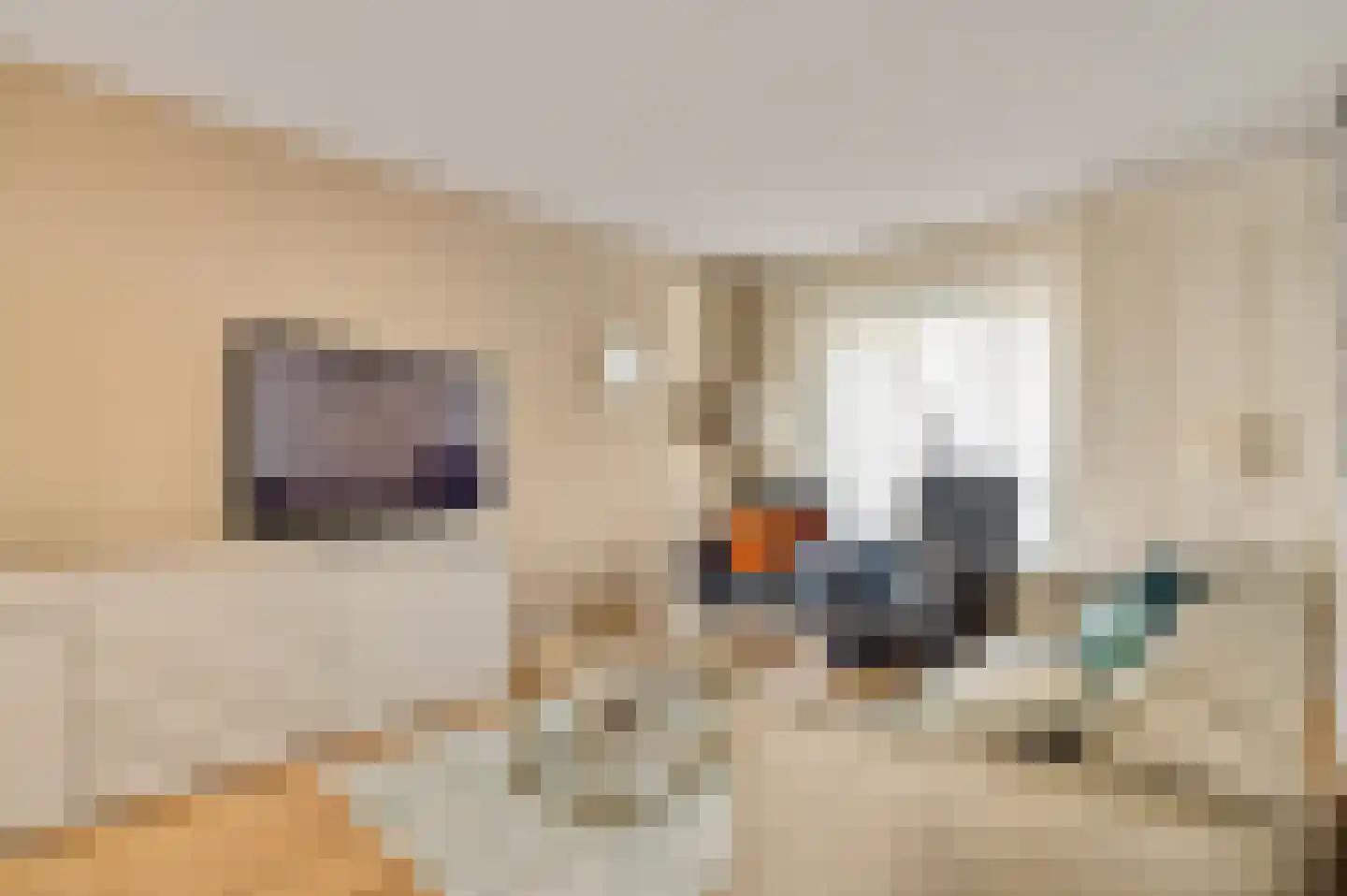 Heukelstraat 6 Maastricht thumbnail 6