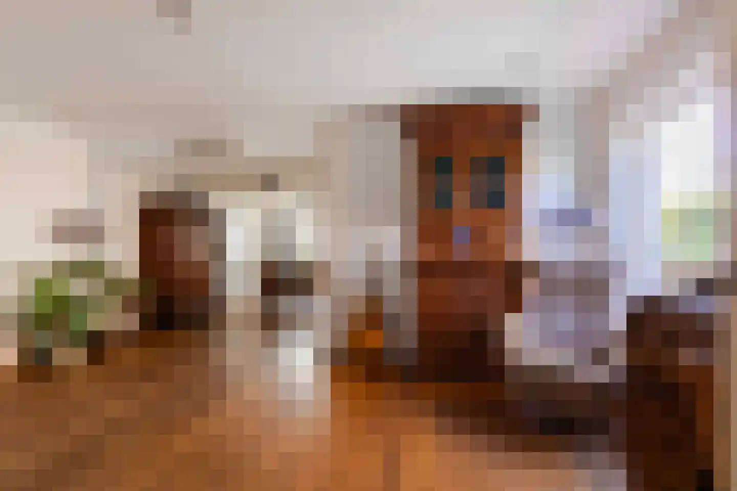Heukelstraat 7 Maastricht thumbnail 5