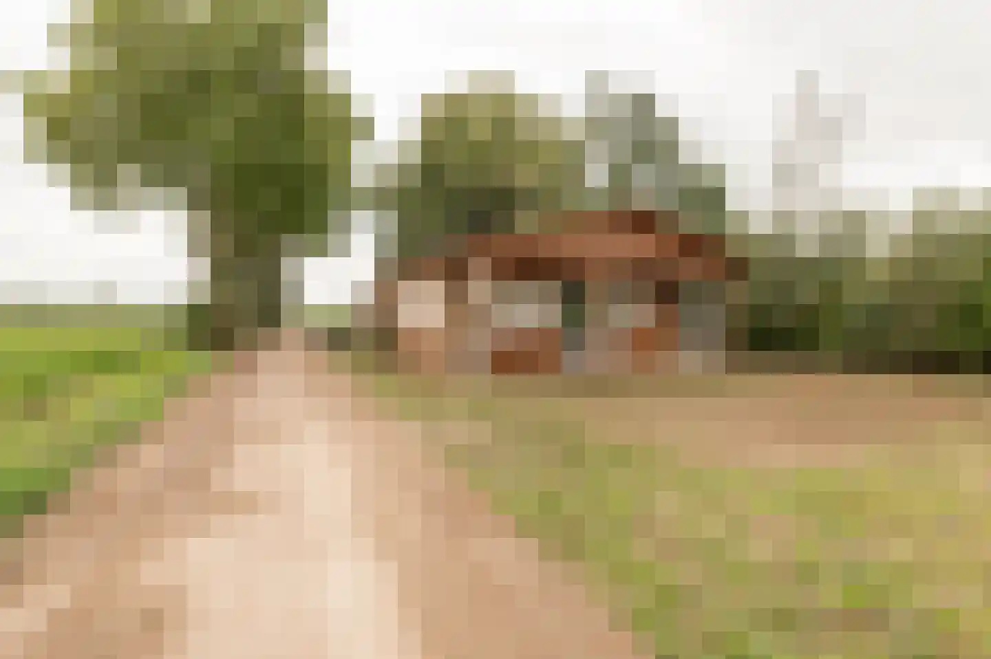 Heukelumseweg 5 Asperen thumbnail 22