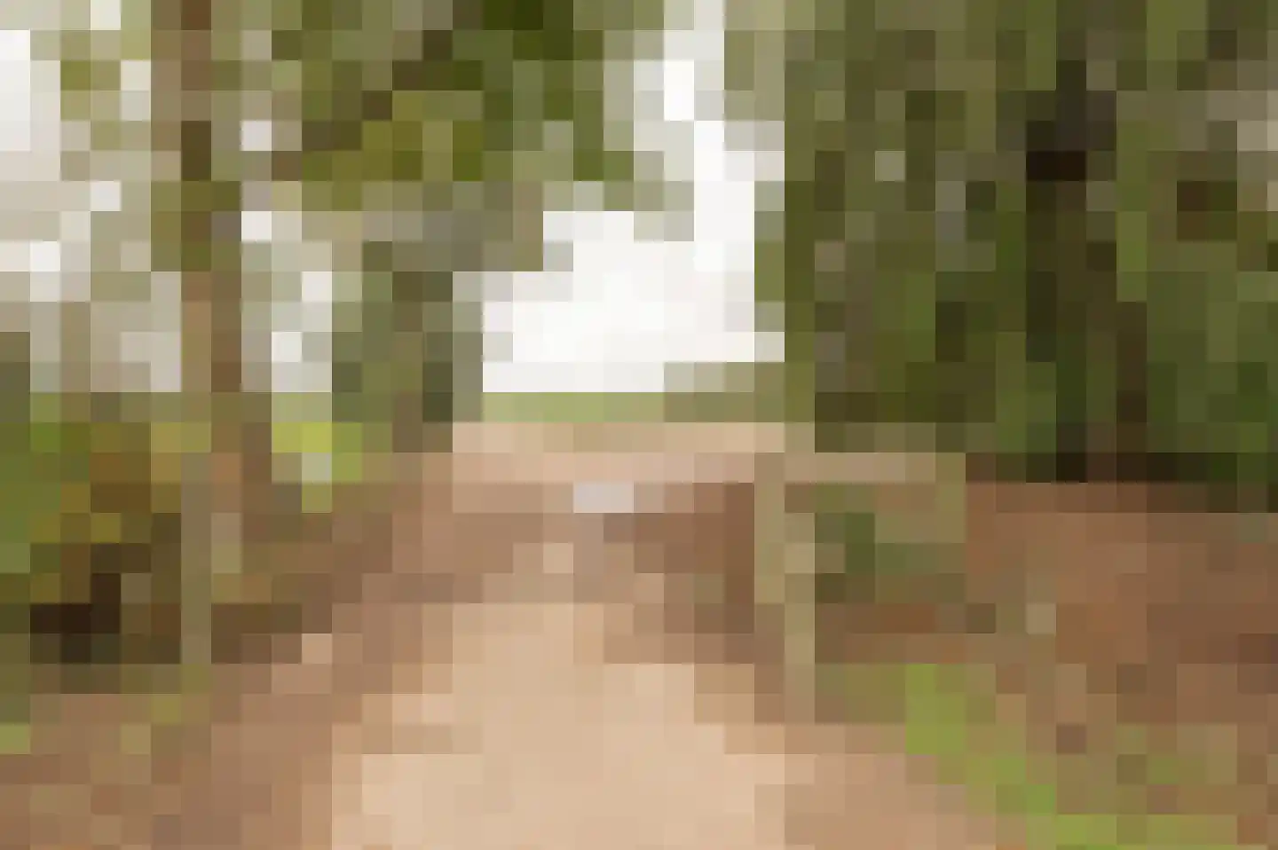 Heukelumseweg 5 Asperen thumbnail 23