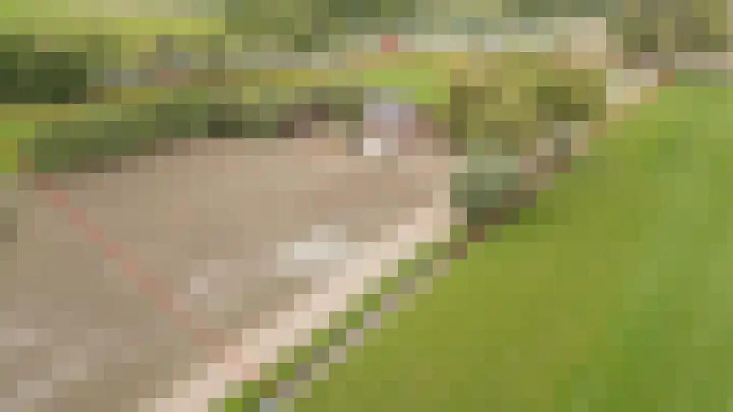 Heukelumseweg 5 Asperen thumbnail 4