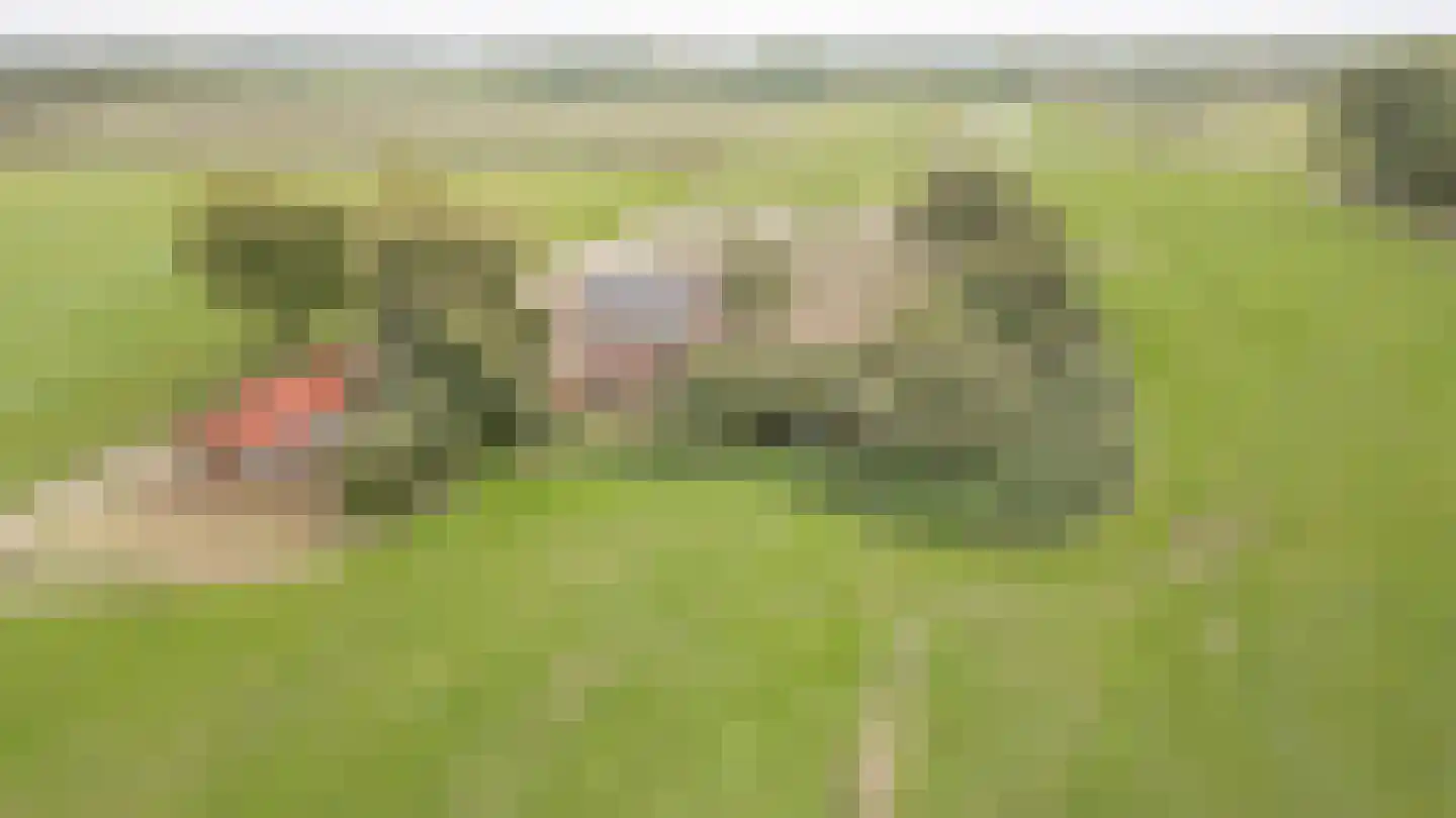 Heukelumseweg 5 Asperen thumbnail 5