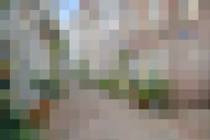 Heukestraat 5 Zutphen thumbnail 18