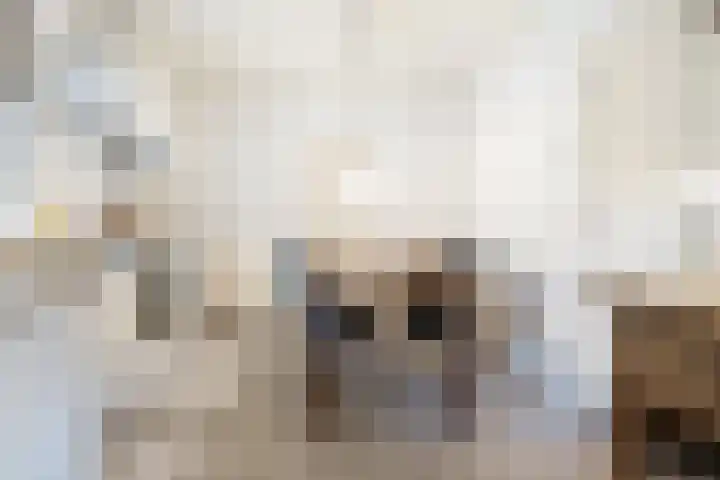 Heul 13 Hoeven thumbnail 10