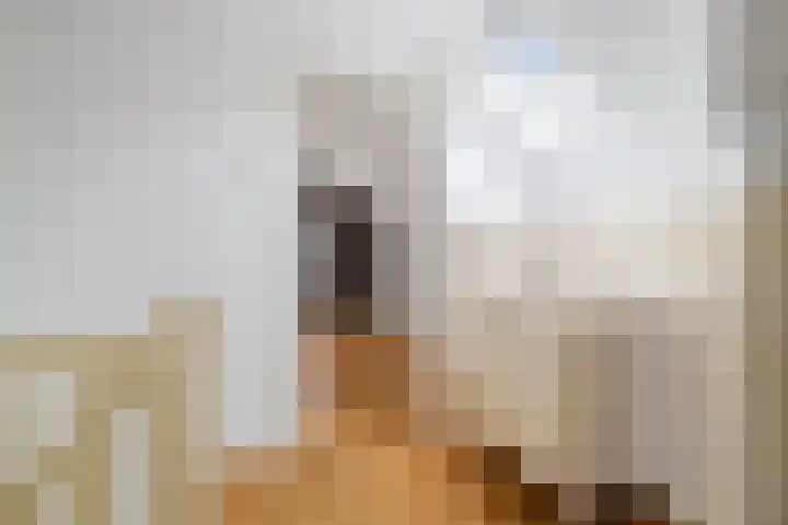 Heul 13 Hoeven thumbnail 18