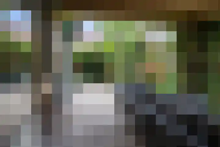 Heul 13 Hoeven thumbnail 30