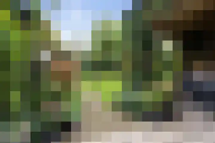 Heul 13 Hoeven thumbnail 33