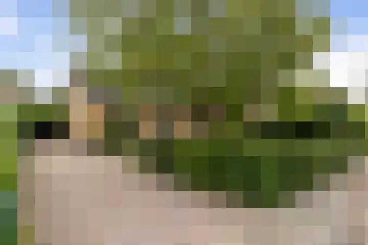 Heul 13 Hoeven thumbnail 43