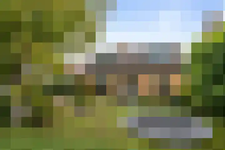 Heul 13 Hoeven thumbnail 5