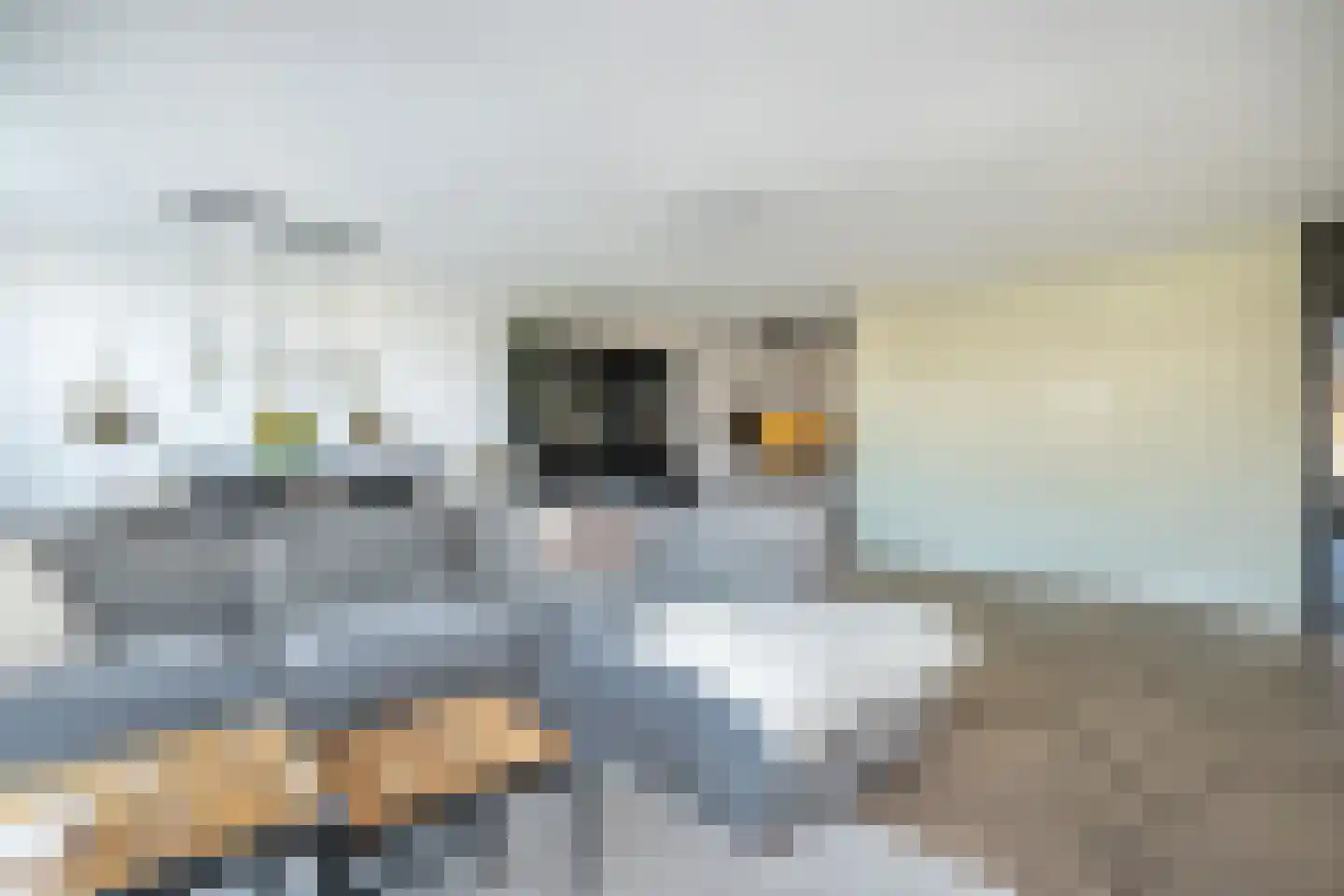 Heul 15 Dirksland thumbnail 10
