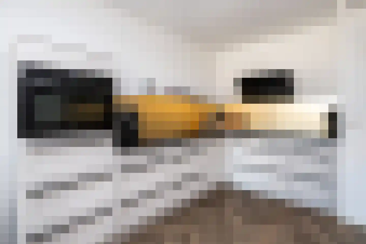 Heul 15 Dirksland thumbnail 13