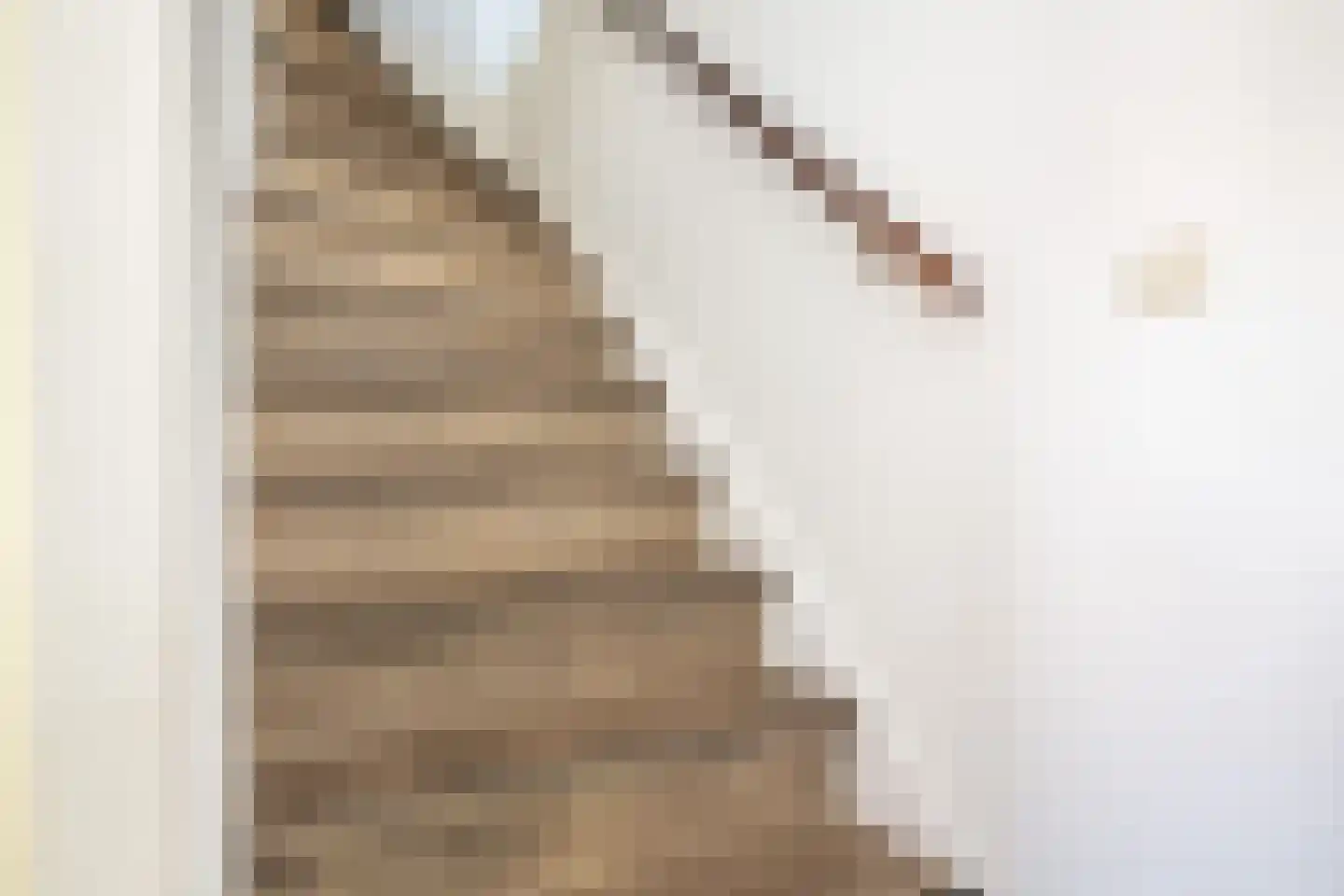 Heul 15 Dirksland thumbnail 16