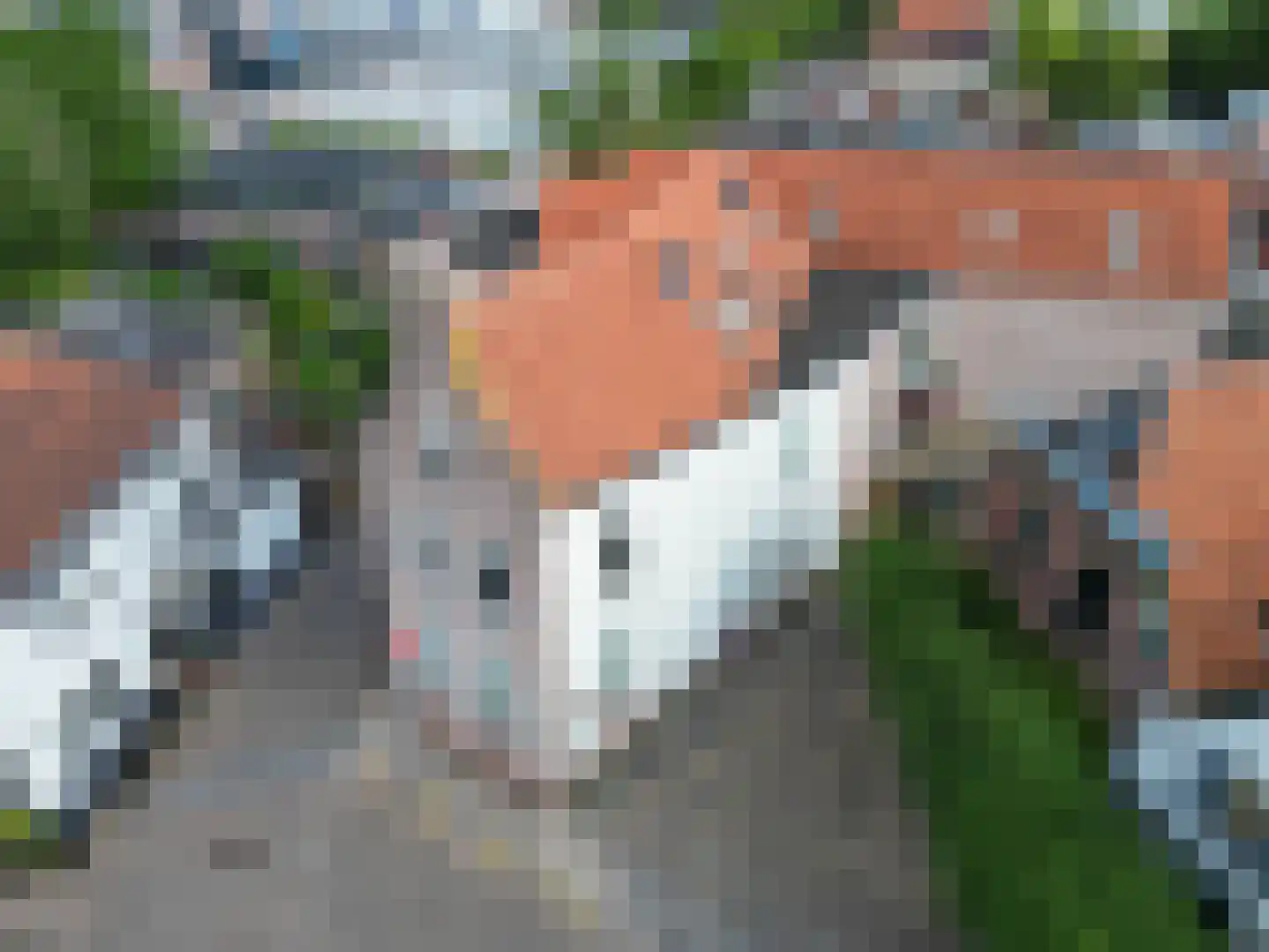 Heul 15 Dirksland thumbnail 28