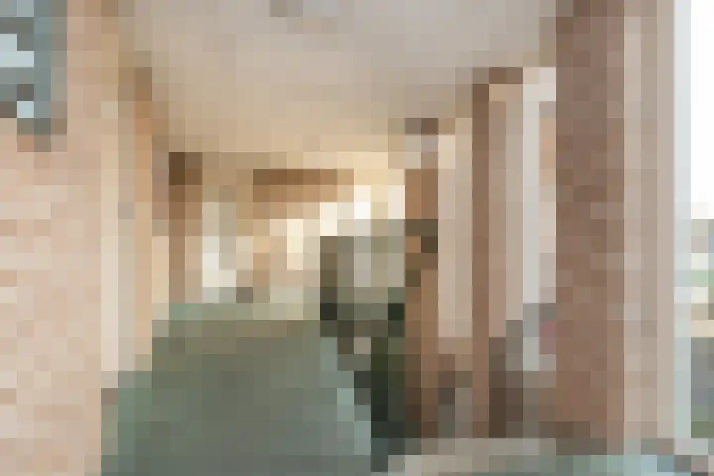 Heul 15 Dirksland thumbnail 5