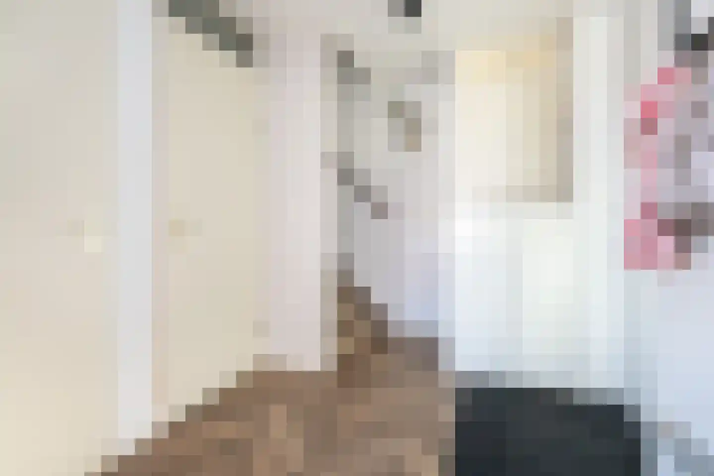 Heul 15 Dirksland thumbnail 6