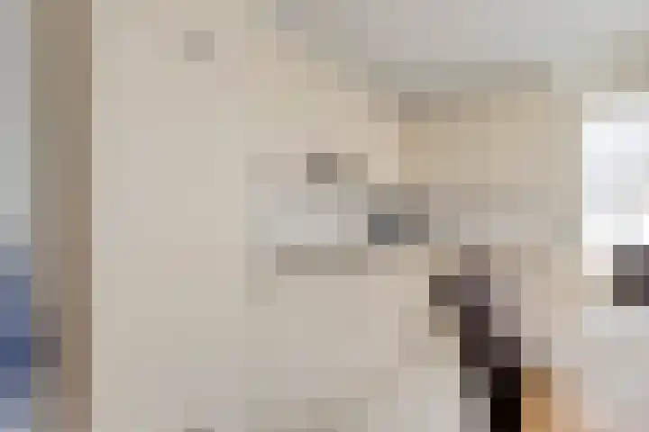 Heul 17 Hoeven thumbnail 12