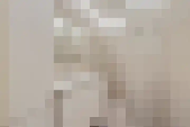 Heul 17 Hoeven thumbnail 14