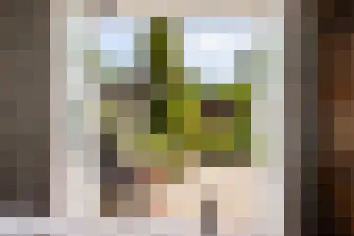 Heul 17 Hoeven thumbnail 18
