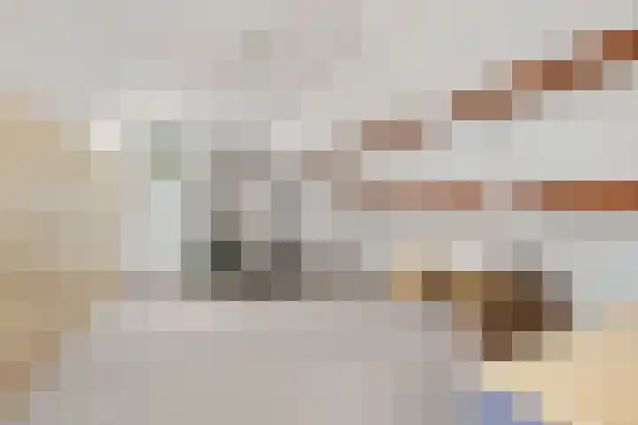 Heul 17 Hoeven thumbnail 21