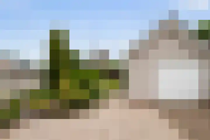 Heul 17 Hoeven thumbnail 24