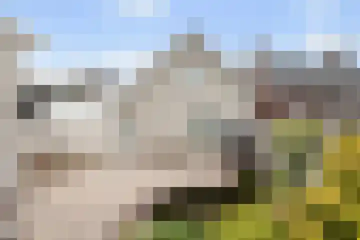 Heul 17 Hoeven thumbnail 25
