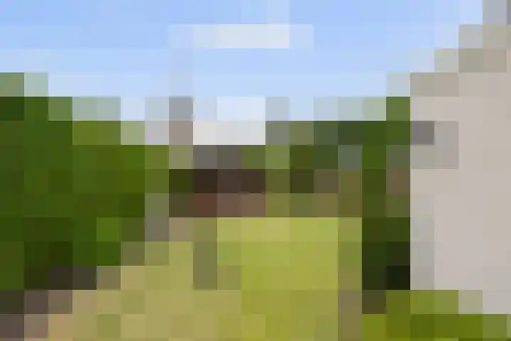 Heul 17 Hoeven thumbnail 26