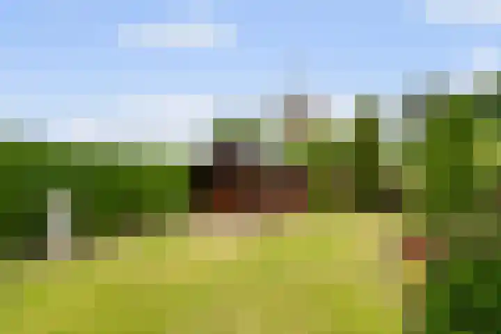 Heul 17 Hoeven foto 3