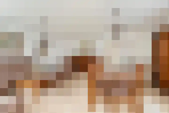 Heul 17 Hoeven thumbnail 9