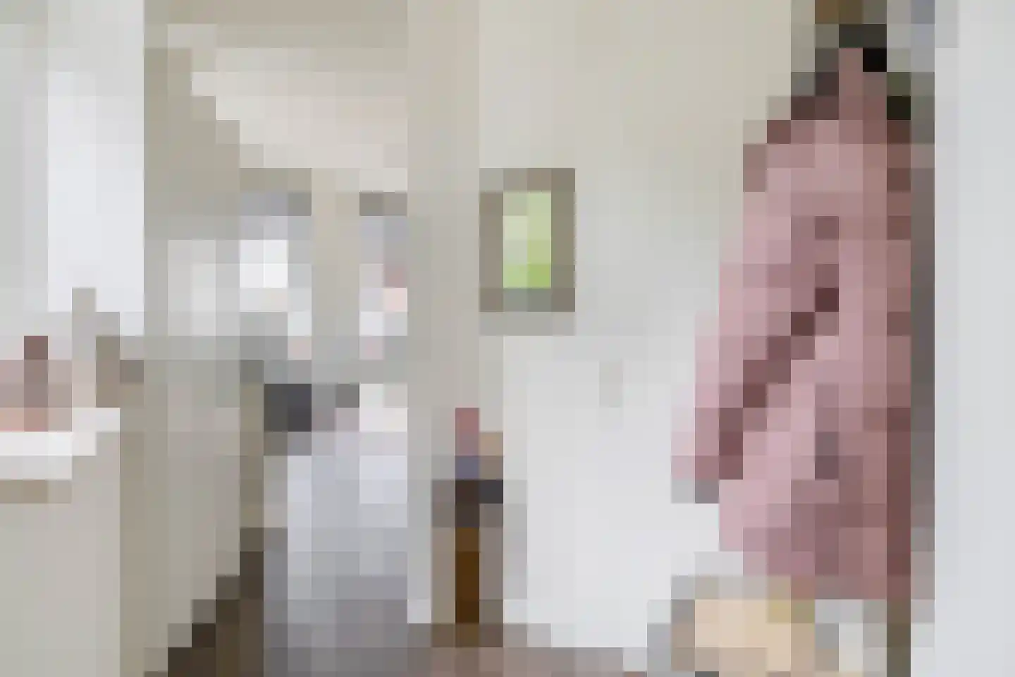 Heul 3 Dirksland thumbnail 15